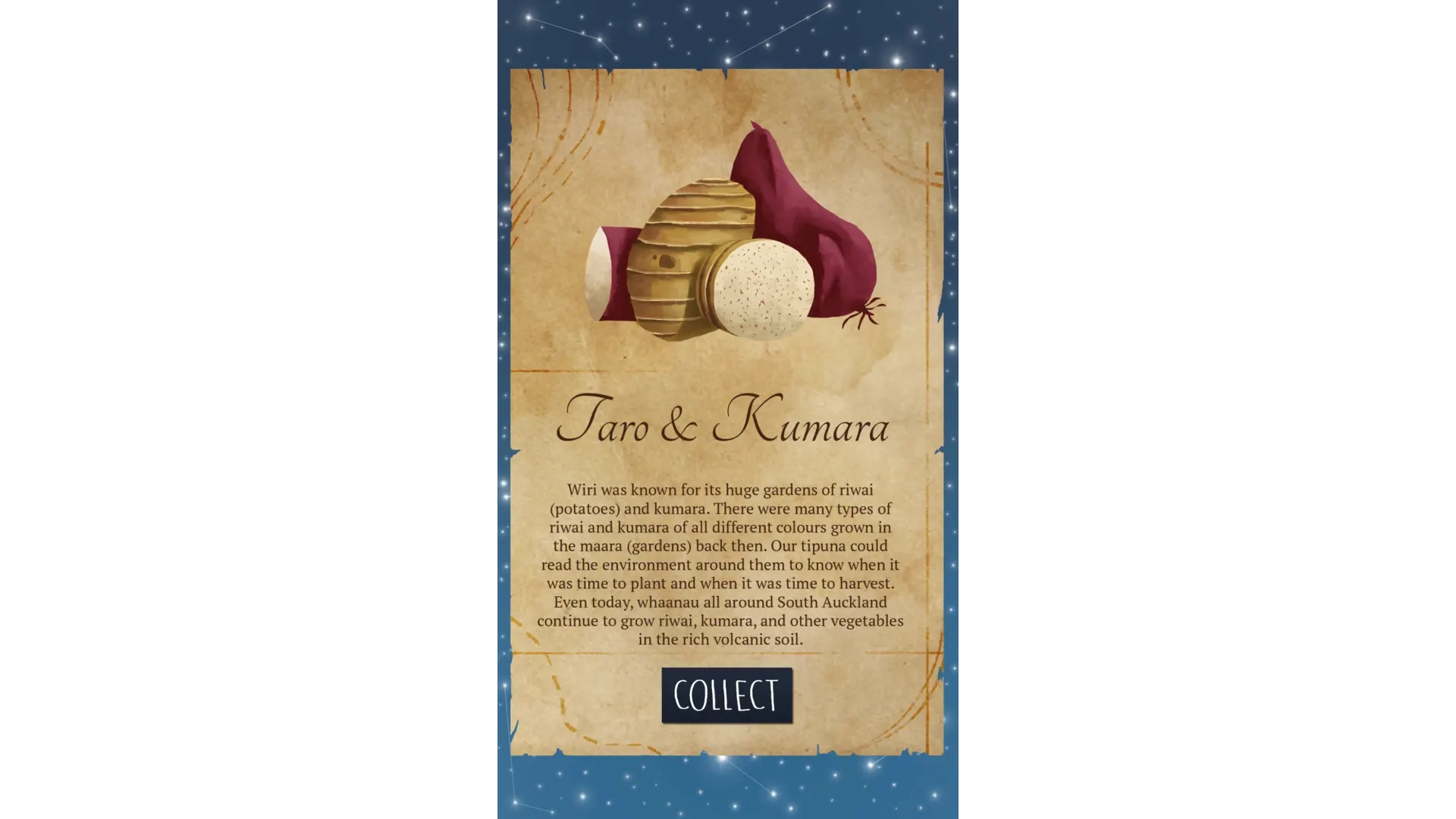 Journeys of Manu: Puhinui Stream screenshot 3